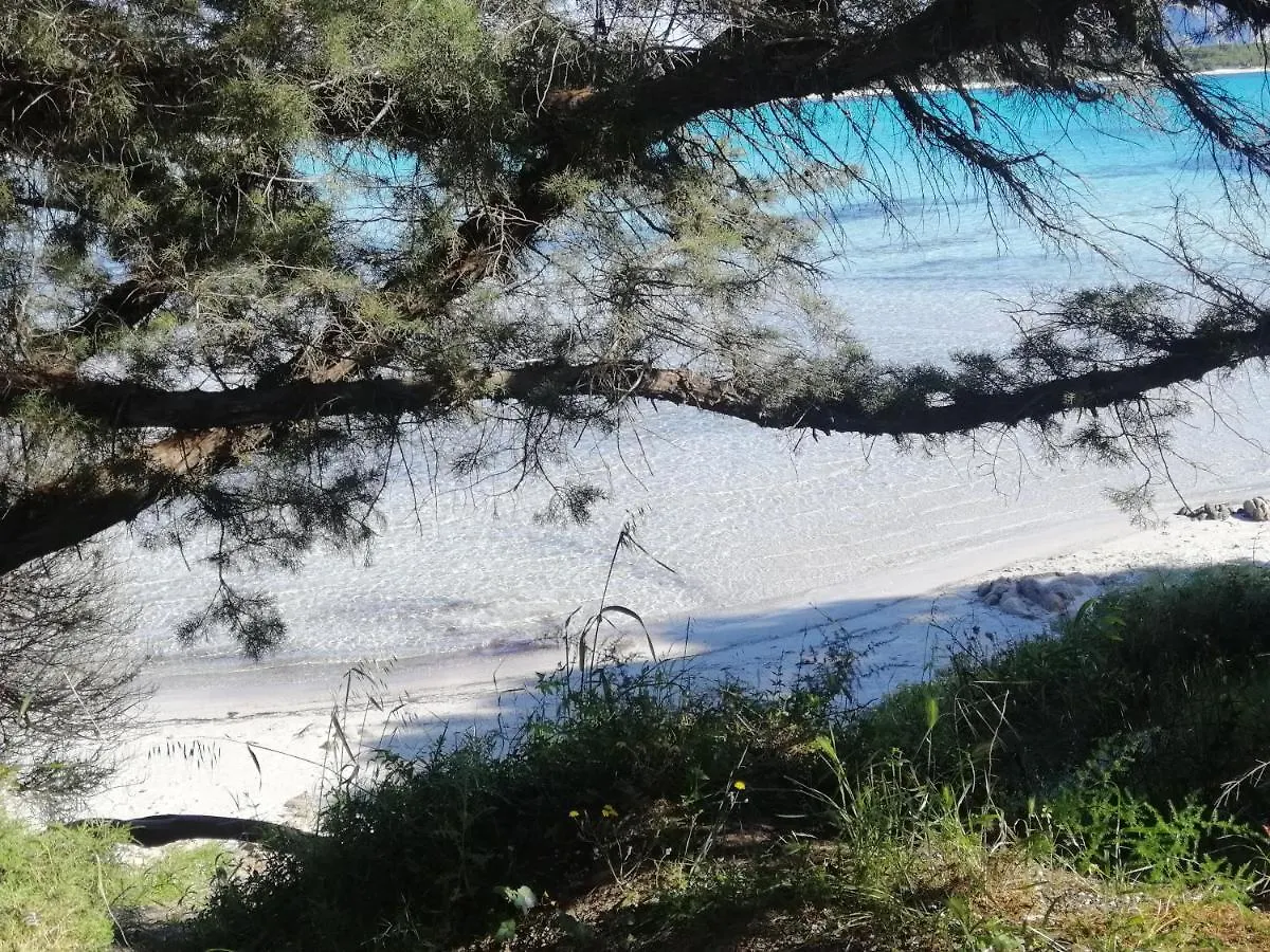Villa Casa Contadina Oristano